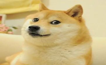 《笑》作文500字优秀7篇