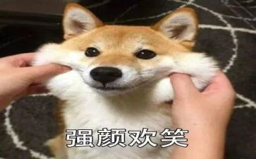 作文《笑》400字推荐5篇