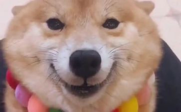《笑》作文400字优秀作文通用8篇