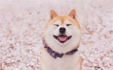 《笑》作文400字优秀作文参考8篇
