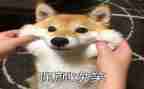 作文我笑了600字作文7篇