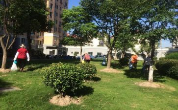 年度小区物业工作总结8篇
