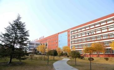 校园调查报告通用8篇