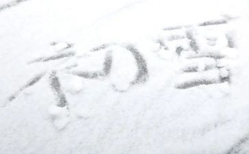 下雪了的作文5篇