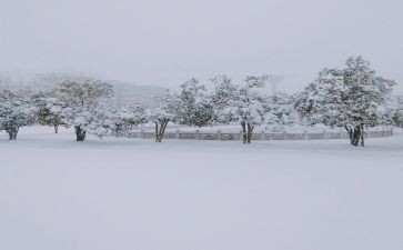 二年级写下雪的作文8篇