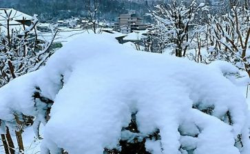 作文下雪了400字5篇