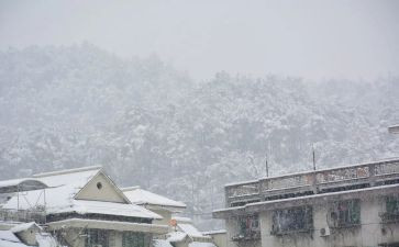 写下雪的作文300字最新5篇
