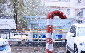 写下雪的作文600字8篇