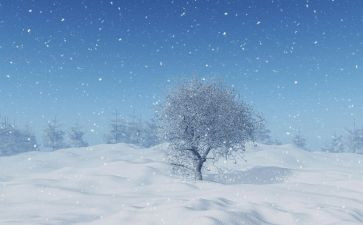 作文下雪了300字推荐8篇