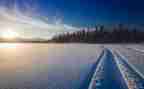 写下雪的作文500字6篇