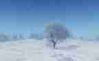 写下雪的作文200字5篇