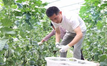 新农村干部述职报告8篇