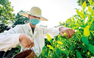 新农村述职报告6篇