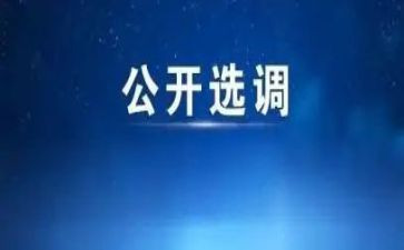 选调生到村工作总结8篇