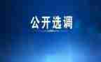 选调生到村工作总结8篇