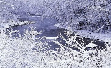 雪的心得体会模板5篇