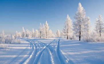 讲好冬奥故事共赴冰雪之约作文5篇
