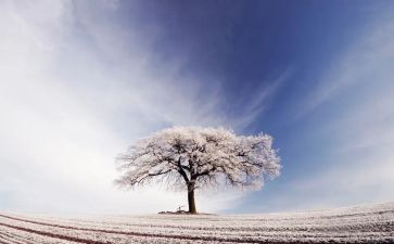 冰雪作文600字5篇