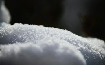 雪的读书心得精选5篇