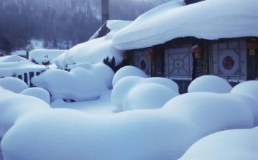 雪吸引了我作文400字8篇