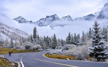 小雪节气活动教案7篇