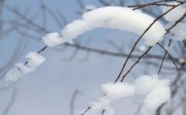 冰雪作文600字通用6篇