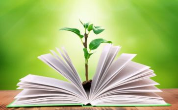 教育教学工作总结个人总结6篇