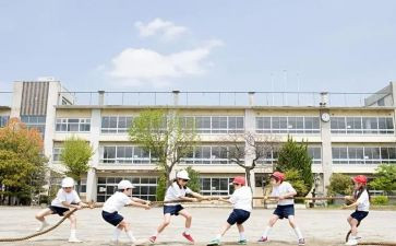 2024年度学生工作总结精选5篇