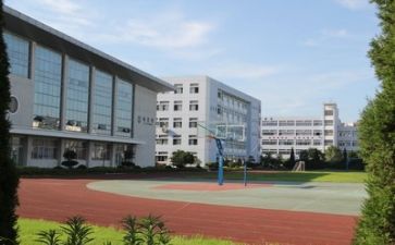 学校副校长述职报告参考6篇