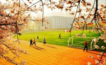 高等学校自我鉴定优秀6篇