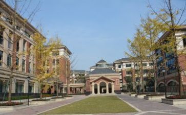学校2024年度工作总结最新6篇