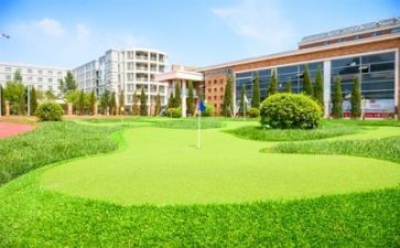 到学校的心得最新7篇
