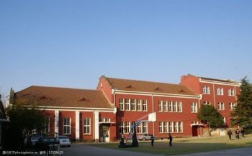 学校公益活动方案5篇