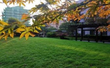 去学校的心得体会通用8篇