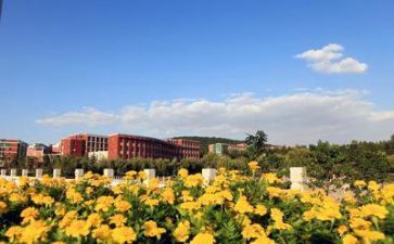 学校毕业的自我鉴定优质5篇