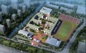 学校开展的工作活动总结8篇