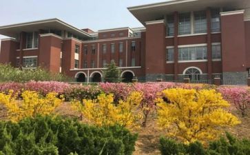 学校实习教师心得体会8篇