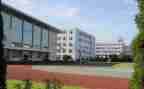 学校副校长述职报告参考6篇
