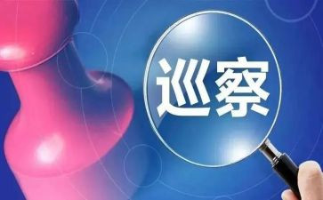 对巡察组的汇报材料6篇