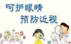 我母亲的眼睛作文8篇