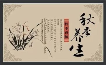 讲养生心得体会7篇