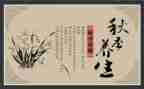 讲养生心得体会7篇