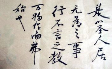 言与行作文800字作文优质7篇