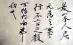 言与行作文800字作文精选5篇