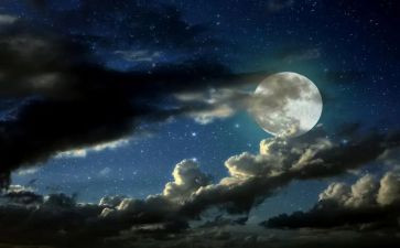 夜景的作文5篇