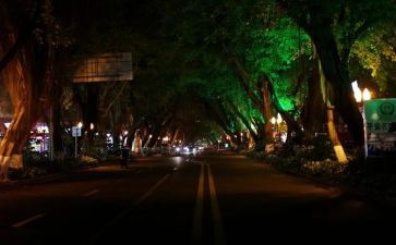 夜莺读后感5篇