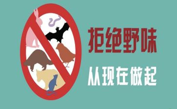 拒绝野味的演讲稿7篇