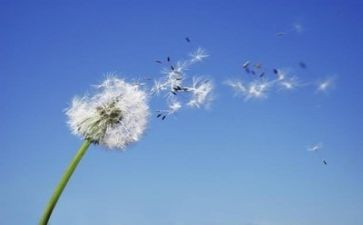 学爱国主义教育的心得体会7篇