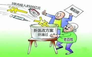 把医改工作总结8篇