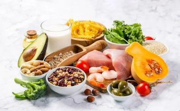 健康健康饮食教案5篇